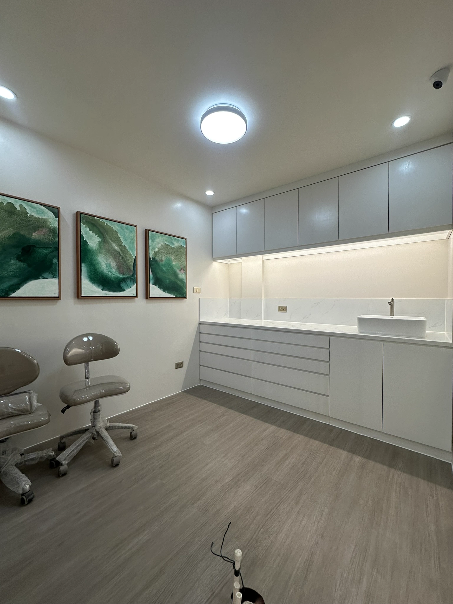 Dental Duo, photograph 2